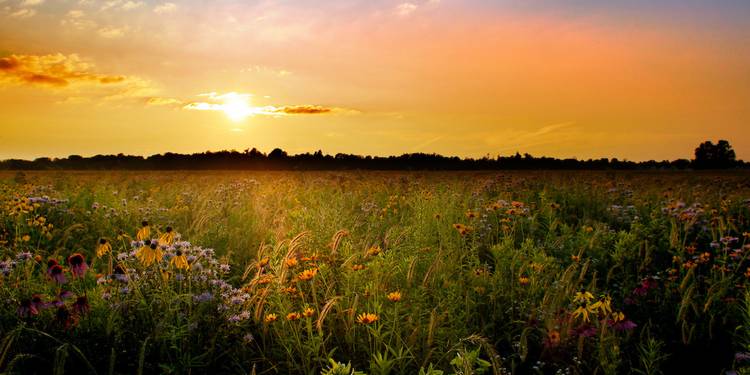 Sustainable Economies empowers organizations like Summit Metro Parks to create change.